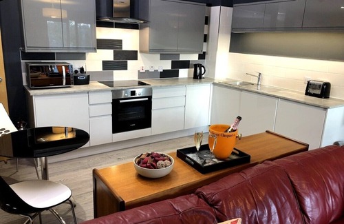 Newcastle-upon-Tyne Apartamento | Luxury Ouseburn flat with city & river views
