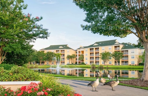 Myrtle Beach Condominio | Luxury Retreat. Ideal Place to Explore Myrtle Beach!