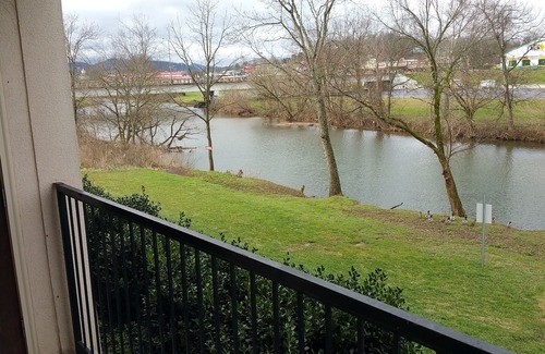 Sevierville Condominio | 1 BR Luxury Condo A orillas del río / Perfect Location / 2 BR también disponible VRBO # 859465