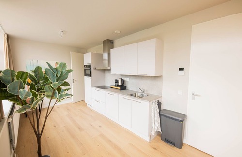 Centrum Villa | Luxury Serenity 3BDR Apartment WS