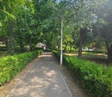 Braila Apartamento | Luxury Studio LCF
