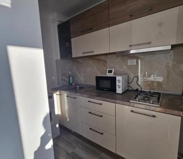 Braila Apartamento | Luxury Studio LCF