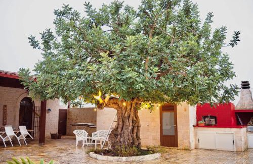 Gorgofreddo Villa | [Luxury] Trullo da sogno immerso nella natura