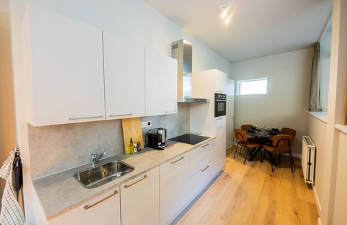 Centrum Villa | Luxury Urban 3BDR Apartment WS