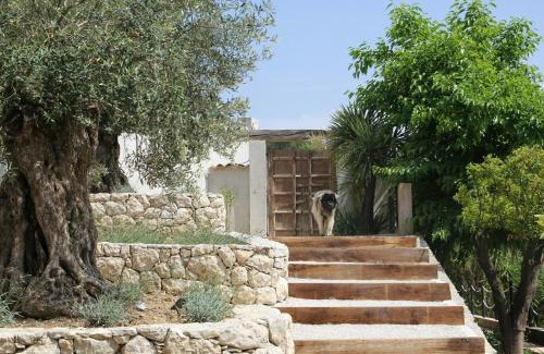 Saint-Paul-de-Vence Casa | Luxury Villa Near Saint Paul De Vence