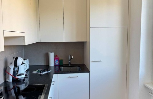 Lucerne Apartamento | Luzern Apartment: Balcony, City Views & Netflix