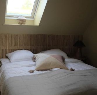 Hundested Otro | Lynæs Surfcenter