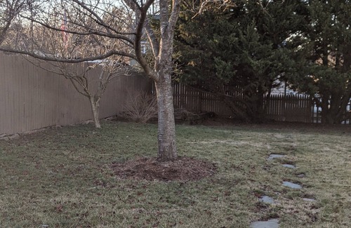 New Market Casa | LYNN'S HISTORICAL BEAUTY
