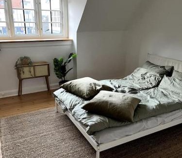 Odense Apartamento | Lys nyrenoveret lejlighed i Odense C