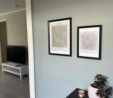 Hamresanden Apartamento | Lys rent og trivelig hybelleilighet