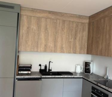 Tartu Apartamento | Mõisavahe street Apartment