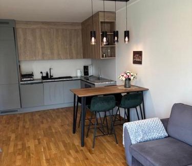 Tartu Apartamento | Mõisavahe street Apartment
