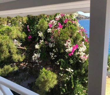 Bozburun Cama Y Desayuno | Müjgan Butik Hotel