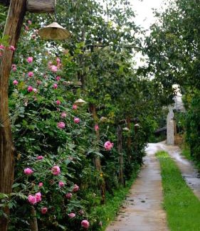 Da Lat Cabina | Mộc Trà Farm