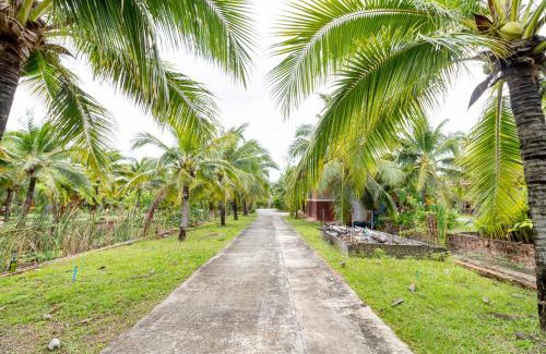 Songkhla Casa | M Resort