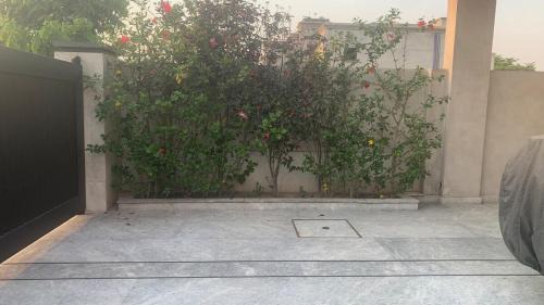 Lahore Casa | M72 Luxe 1 Kanal Modern House Phase 6 DHA Raya