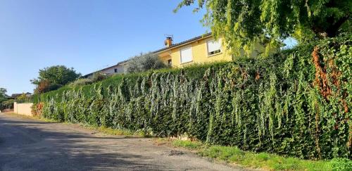 Janneyrias Apartamento | Ma maison fleurie proche AEROPORT LYON ST EXUPERY, LDLC ARENA, Groupama Stadium,Eurexpo