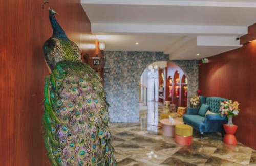Chang Phueak Hotel | Ma Muan Budget & Boutique Chiang Mai