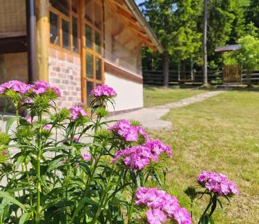 Bajina Basta Casa | Ma Ritz