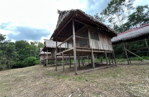 Saquena Otro | Macaw Adventures Lodge