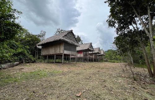 Saquena Otro | Macaw Adventures Lodge