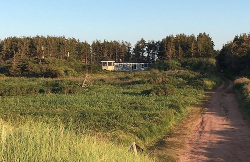 Naufrage Cabaña | MacLaren Road Beach House