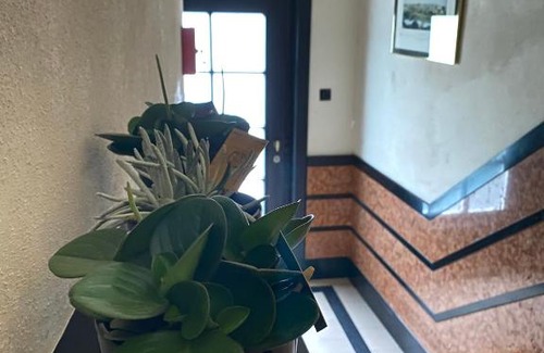 Vogelzang Apartamento | #MacLeod2
