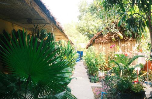 Siem Reap Casa | Madam Sokha Homesteading