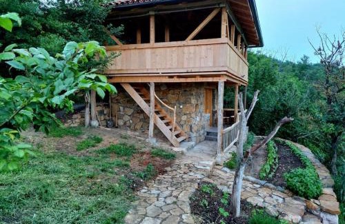Dimitrovgrad Apartamento | Magarija 2