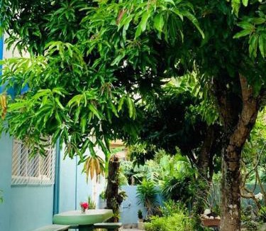 Legazpi Casa | MAGAYON BLUE HOUSE IN THE HEART OF LEGAZPI