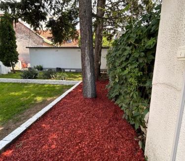 Zvezdara Apartamento | Magenta Garden
