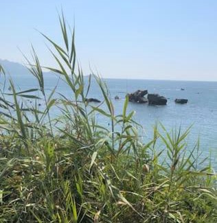 Jijel Province Apartamento | Magnifique Appartement Jijel Plage Rocher Noir
