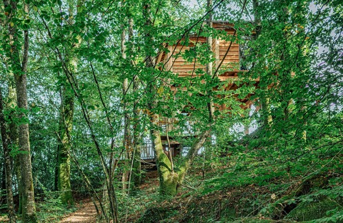 Gomene Cabina | Magnifique Cabane Perchée Avec Jacuzzi Privatif