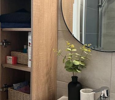 Lingolsheim Apartamento | Magnifique F1 à Lingolsheim