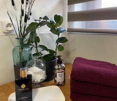 Aix-en-Ergny Casa | Magnifique maison spa