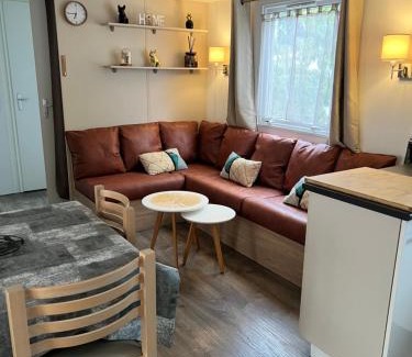 Ronce-les-Bains Otro | Magnifique mobil-home
