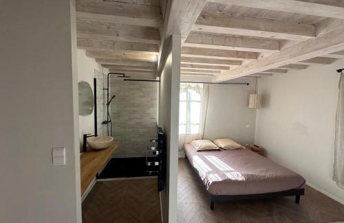 Noe Villa | Magnifique villa tout confort à 20m de Toulouse