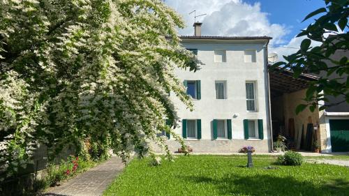 Possagno Apartamento | Magnolia 41