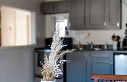 Knoxville Casa | Magnolia House -10 Min to Downtown and Campus