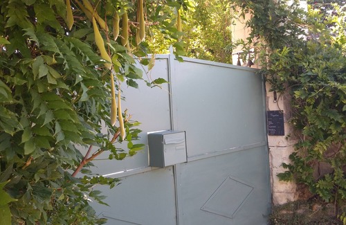 Chinon Casa | Magnolias houses