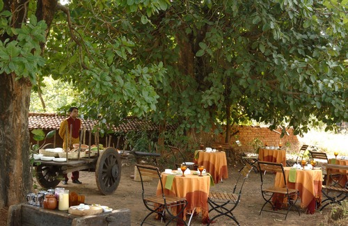 Tala Cabina | Mahua Kothi, Bandhavgarh National Park