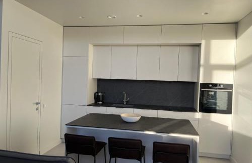 Liberty Avenue Apartamento | Maironio apartamentai Laisvė