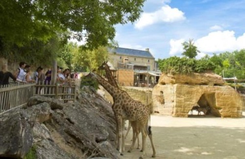 Louresse-Rochemenier Casa | Maison 2-3 pers semi-troglodyte Angers-Saumur