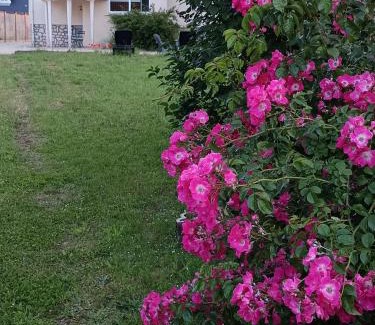Nouan-sur-Loire Casa | Maison 6 couchages avec jardin au coeur des châteaux de la Loire