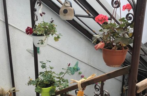Historic Center Apartamento | Maison Adamis