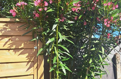 Saint-Seurin-de-Bourg Casa | Maison au Calme Avec Jardin Clos