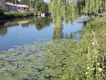 Marans Casa | Maison calme au bord de l'eau