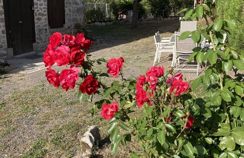 Job Casa | Maison Calme