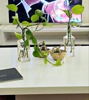 Ville Nouvelle Apartamento | Maison Chafik