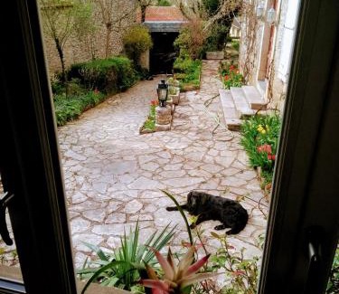 Gramat Apartamento | Maison Chopin
